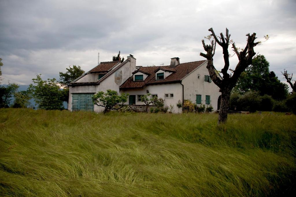 Punta Del Corno Agriturismo San Felice del Benaco Eksteriør billede
